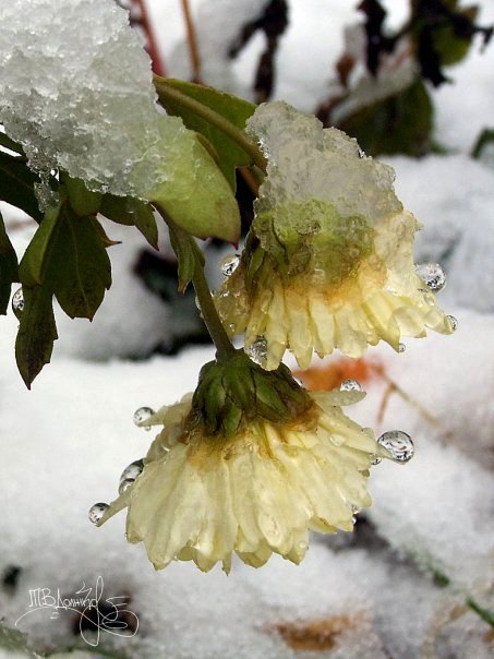 Фотовиставка Тетяни Должко